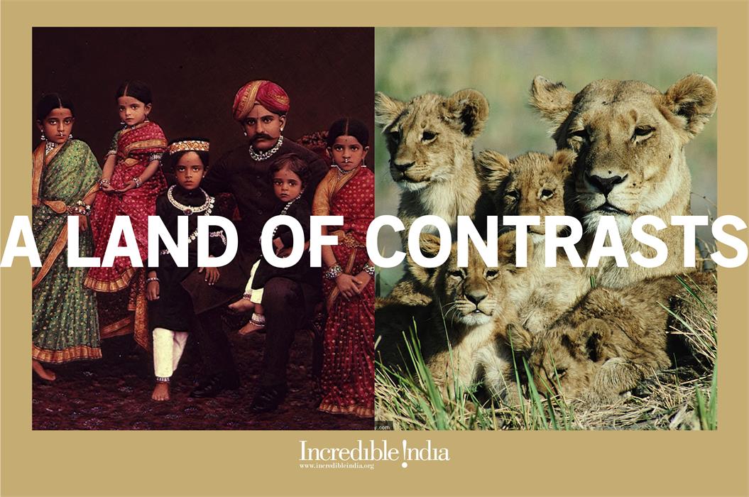 Incredible India